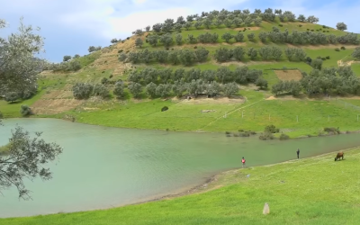 بعد التساقطات المطرية.. تاونات تتزين بحلة الربيع وتستقطب عشاق الطبيعة