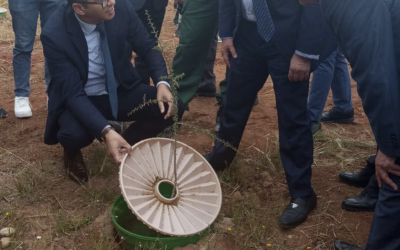 تقنية Waterbox.. حل مبتكر يقتصد في الماء ويُعزّز التشجير بالمناطق الجافة في جهة سوس-ماسة