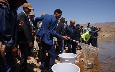 لتثمين المنظومة المائية وتأهيل المحيط البيئي.. انطلاق مشروع تشجير جنبات سد الحسن الداخل بإقليم الرشيدية