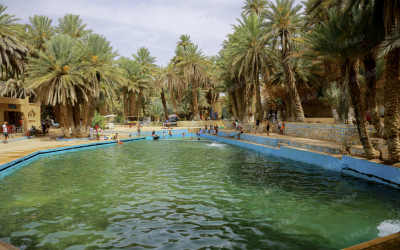 في ظل مشروع مرتقب لتأهيلها.. عودة المياه تعيد الحياة إلى "العين الزرقاء مسكي" بإقليم الرشيدية